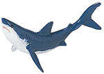 mako shark.jpg